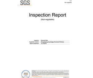 Inspection Report